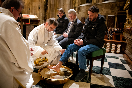 Gründonnerstag 2026 / Erzdiözese Wien/Schönlaub, Stephan Schönlaub