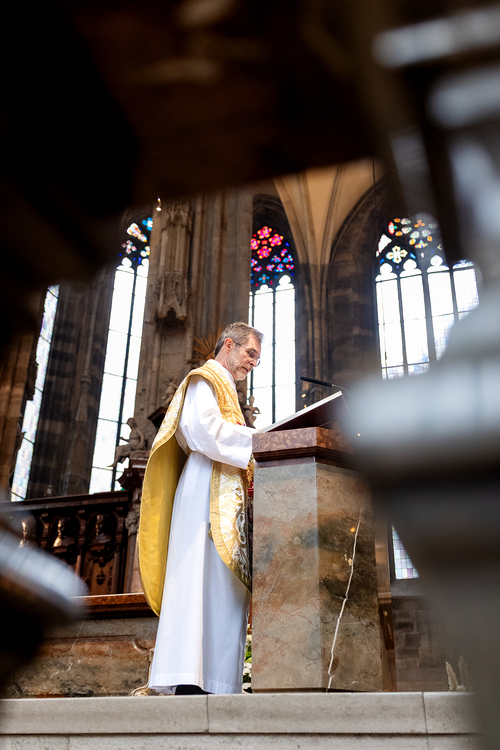 Allerheiligen Stephansdom / Erzdiözese Wien/Schönlaub, Stephan Schönlaub Allerheiligen Stephansdom