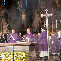 Stephansdom: Österreich nahm Abschied von Papst Franziskus