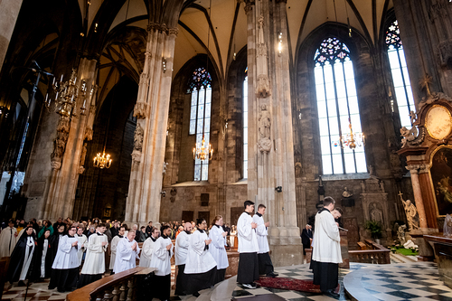 2025 Karfreitag / Erzdiözese Wien/Schönlaub