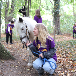 Dies & Das im Therapiehof Regenbogental