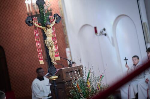 Palmsonntag Pfarre Heilige Mutter Teresa / Erzdiözese Wien/Feuchtner